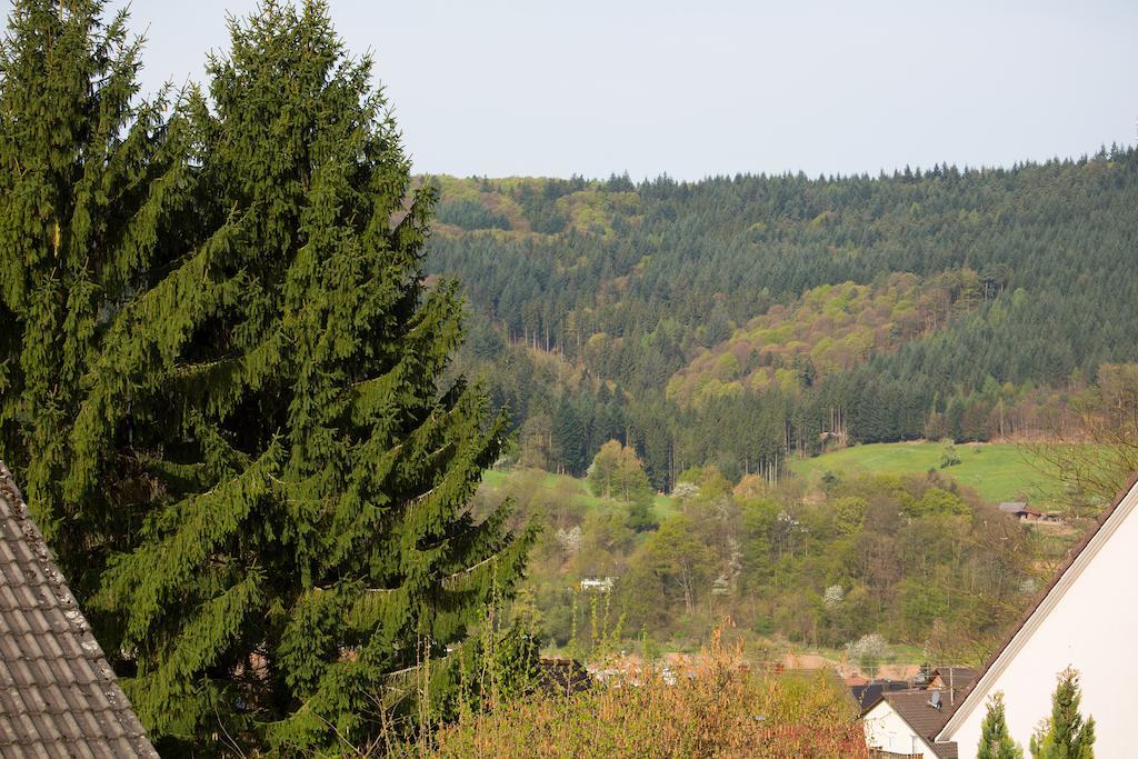 Schoene Aussicht Seelbach  Chambre photo